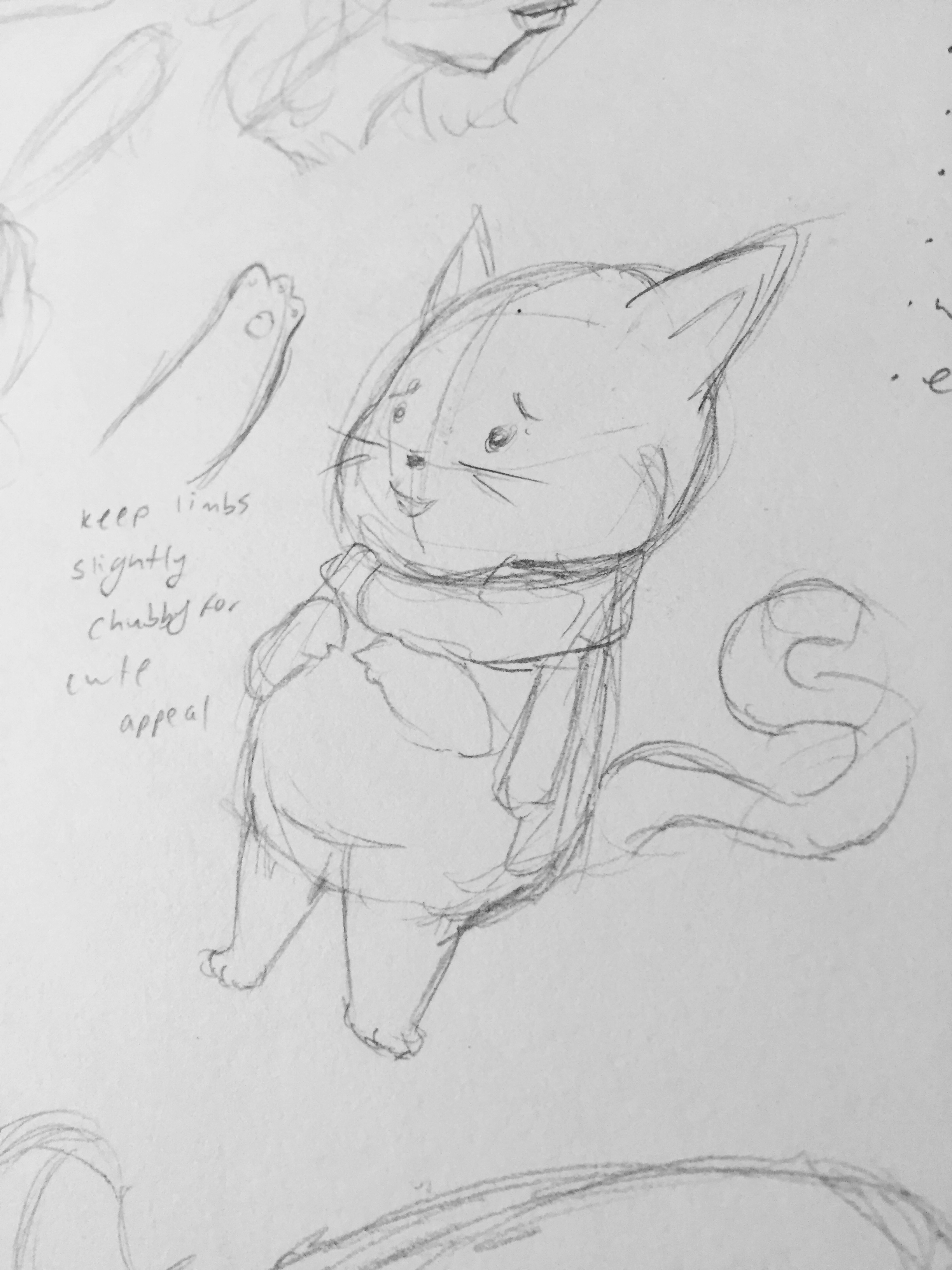 Chubbster Cat Sketch 2