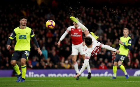 Torreira